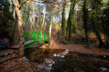 Wycieczka: Troodos, klasztor Kykkos [29] z Pafos Marathon